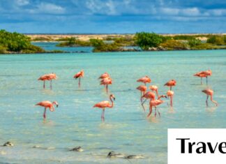 The Americas ultimate travel guide: 15 highlights