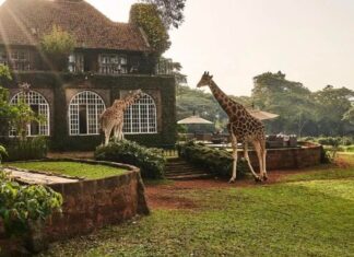 Top Wildlife Lodges, The Ultimate Barbie Resort, And More Travel News