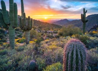 Arizona Travel Guide