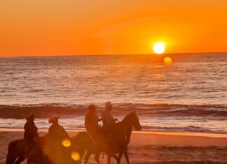 Adventure Travel Guide to Baja’s Best Beach Town