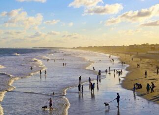 15 Best Beaches in South Carolina