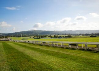 Cheltenham Festival 2024 travel guide – what to do, where to stay and how to get there