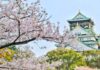 Witness Hirosaki, Japan’s cherry blossom wonderland with this travel guide
