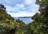 Stewart Island Travel Guide: What to Know About Rakiura, New Zealand