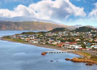 A guide to exploring Wellington’s coastal walk wonders