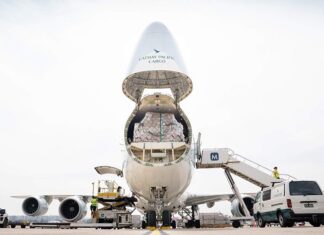 Enhancing Efficiency and Reliability in Cargo Operations