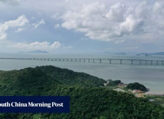10 big-picture ideas to get Hong Kong tourism on the right track