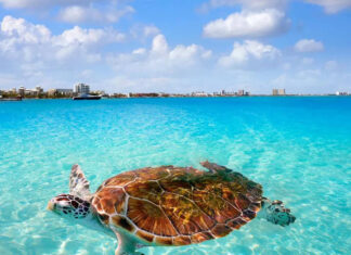 Travel Destination 2024: Most Googled Travel Destinations That Are Trending This Year