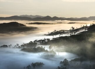 Here is a detailed report on why July stands out to be a positive month for travel and tourism sector in Vietnam, Philippines, Japan, Indonesia, Malaysia, South Korea, Saudi Arabia, and China with visa free access
