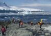 Antarctic parties working on a framework for stringent regulations governing tourism — MercoPress