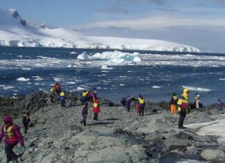 Antarctic parties working on a framework for stringent regulations governing tourism — MercoPress