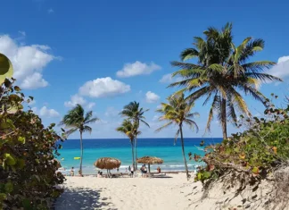 How Luxury Retreats are Leading the Charge in Sustainable Tourism