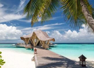 The World’s Most Beautiful Restaurants, The Best Chicago Hotels And More Travel News