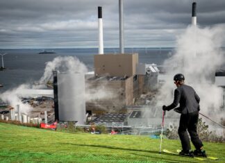 Copenhagen rewards eco-friendly tourists with free coffee, museum tours