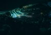 UK music tourism spending surges 21% with 19.2 million attending live events in 2023 | Live