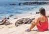Galapagos Islands Eco-Friendly Travel Guide: Sustainable Tourism Series Update