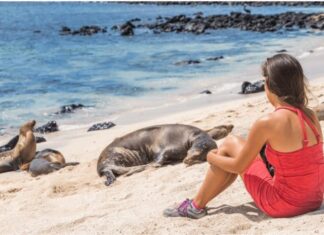 Galapagos Islands Eco-Friendly Travel Guide: Sustainable Tourism Series Update