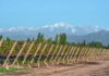 20 BEST Things to do in Mendoza, Argentina +COMPLETE Travel Guide!