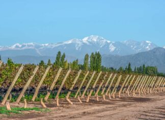 20 BEST Things to do in Mendoza, Argentina +COMPLETE Travel Guide!