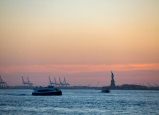 The ferry is a breezy way to get to NYC’s summer destinations — and maybe even see dolphins