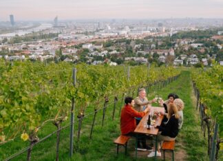 Vienna, a travel guide to the ‘world’s most liveable city’