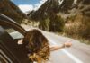5 Quick Tips For People Who Like Road Trips https://unsplash.com/@averieclaire