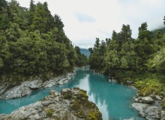 Five Things to Do in New Zealand https://www.pexels.com/photo/view-of-river-572689/