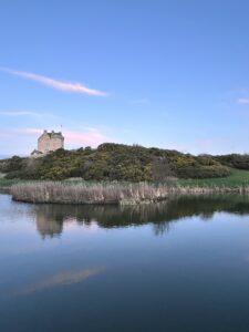 Reflection views of Fenton Tower
